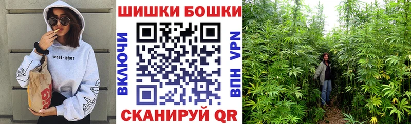 блэк спрут ссылка  Севск  Шишки марихуана тримм 